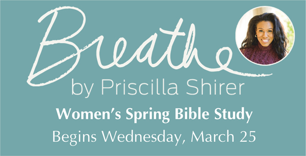 Breathe Women's Bible Study